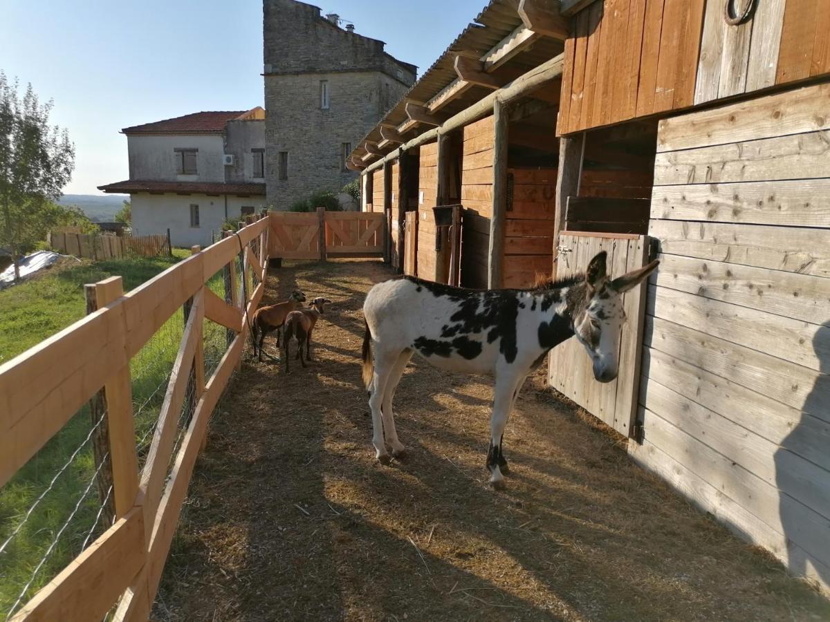 Villa Les Hauts Vallons Puylaroque Exterior foto